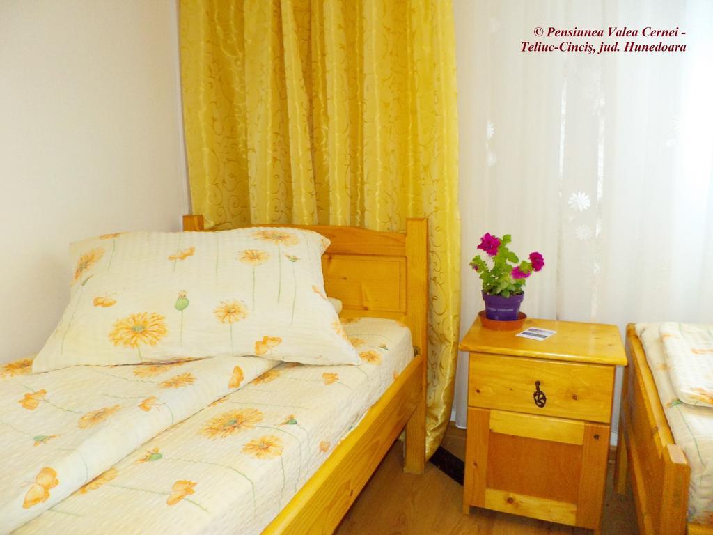 Pensiunea Valea Cernei Teliucu Inferior Room photo