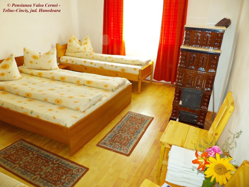 Pensiunea Valea Cernei Teliucu Inferior Room photo